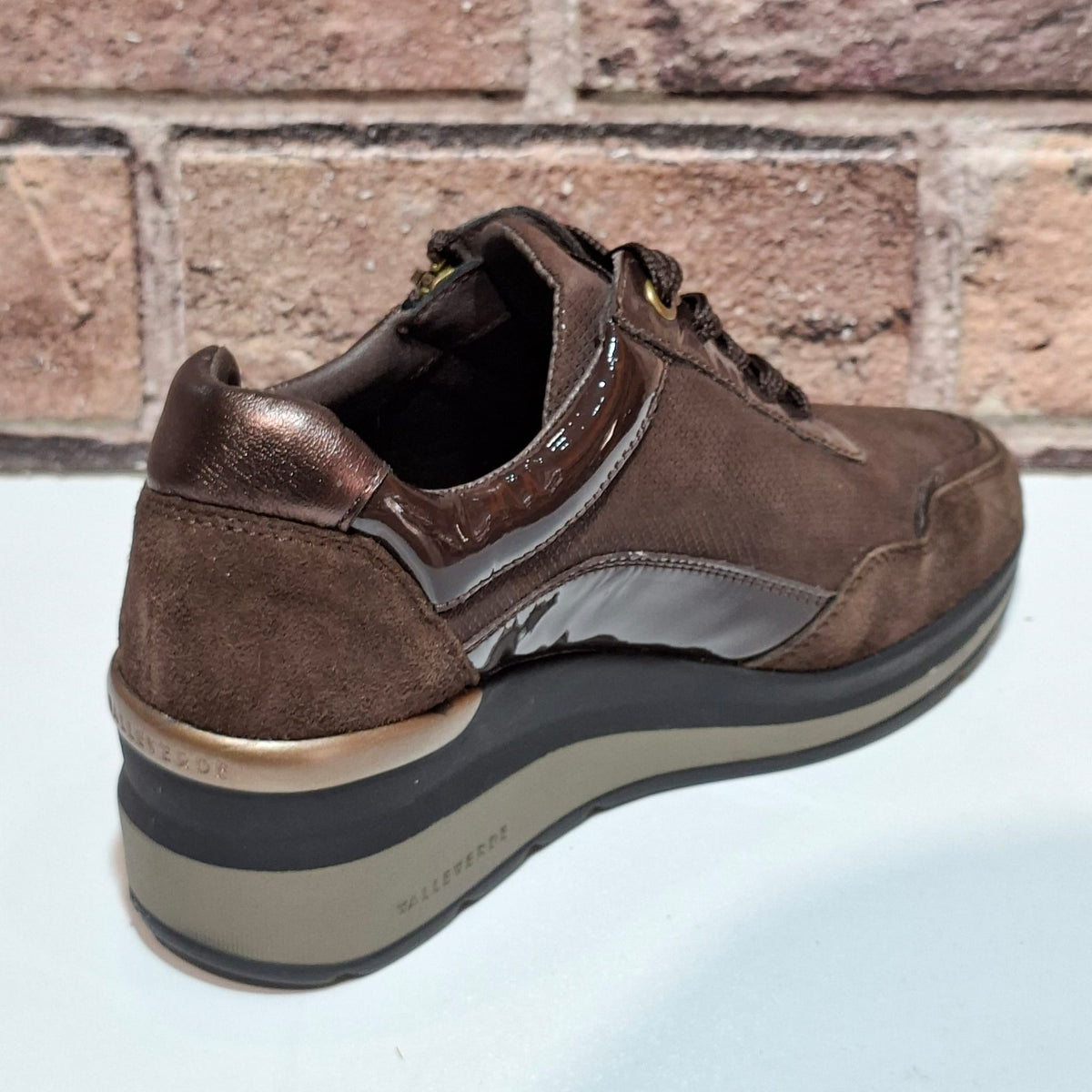 Scarpa donna con lacci VVCA554W moro